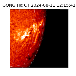 gong - 2024-08-11T12:15:42