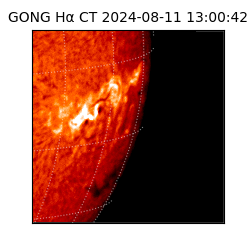 gong - 2024-08-11T13:00:42
