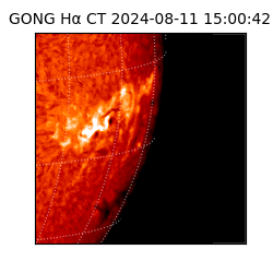 gong - 2024-08-11T15:00:42