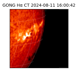 gong - 2024-08-11T16:00:42