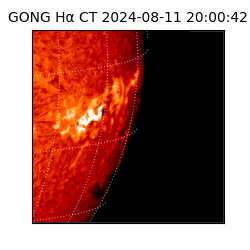 gong - 2024-08-11T20:00:42