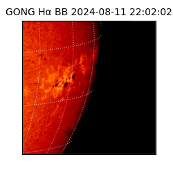 gong - 2024-08-11T22:02:02