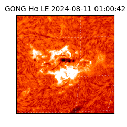 gong - 2024-08-11T01:00:42