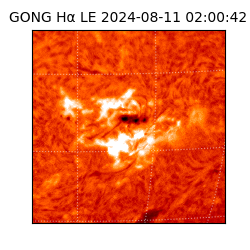 gong - 2024-08-11T02:00:42