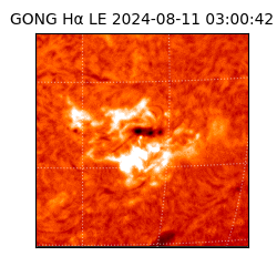gong - 2024-08-11T03:00:42