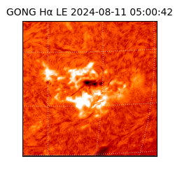 gong - 2024-08-11T05:00:42