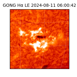 gong - 2024-08-11T06:00:42