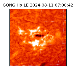 gong - 2024-08-11T07:00:42