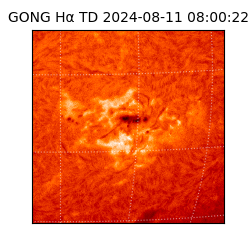 gong - 2024-08-11T08:00:22