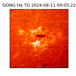 gong - 2024-08-11T09:05:22