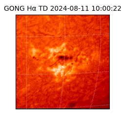 gong - 2024-08-11T10:00:22