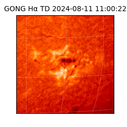 gong - 2024-08-11T11:00:22