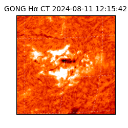 gong - 2024-08-11T12:15:42