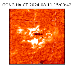 gong - 2024-08-11T15:00:42