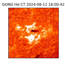 gong - 2024-08-11T16:00:42