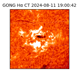 gong - 2024-08-11T19:00:42