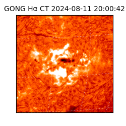 gong - 2024-08-11T20:00:42
