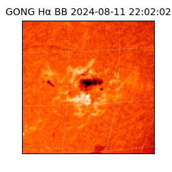 gong - 2024-08-11T22:02:02