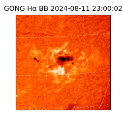 gong - 2024-08-11T23:00:02