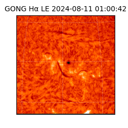 gong - 2024-08-11T01:00:42