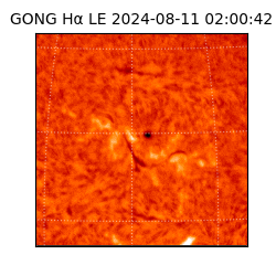 gong - 2024-08-11T02:00:42