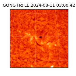 gong - 2024-08-11T03:00:42