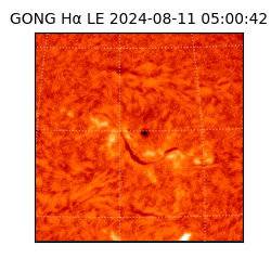gong - 2024-08-11T05:00:42
