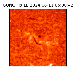 gong - 2024-08-11T06:00:42