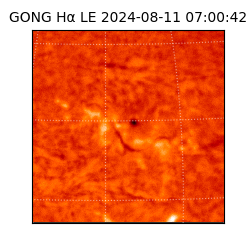 gong - 2024-08-11T07:00:42