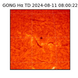 gong - 2024-08-11T08:00:22
