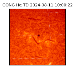 gong - 2024-08-11T10:00:22
