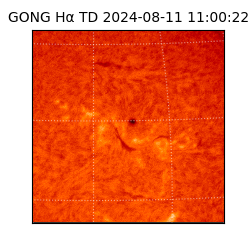 gong - 2024-08-11T11:00:22
