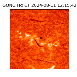 gong - 2024-08-11T12:15:42