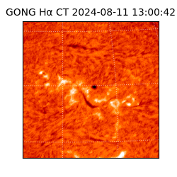 gong - 2024-08-11T13:00:42