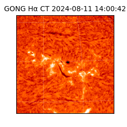 gong - 2024-08-11T14:00:42