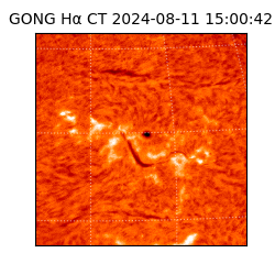 gong - 2024-08-11T15:00:42