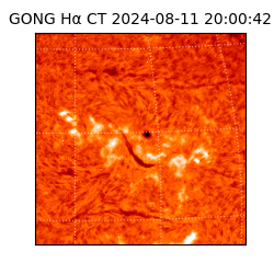 gong - 2024-08-11T20:00:42