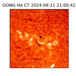 gong - 2024-08-11T21:00:42