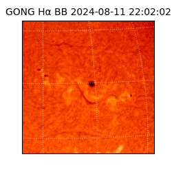 gong - 2024-08-11T22:02:02