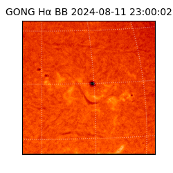 gong - 2024-08-11T23:00:02