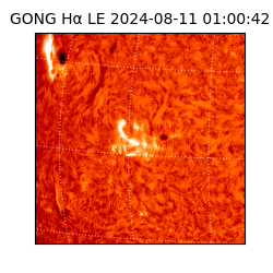 gong - 2024-08-11T01:00:42