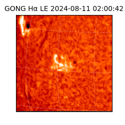 gong - 2024-08-11T02:00:42