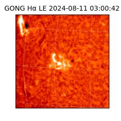 gong - 2024-08-11T03:00:42