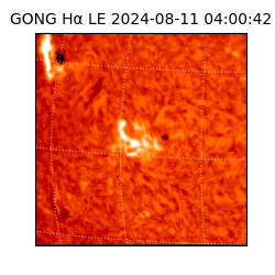 gong - 2024-08-11T04:00:42