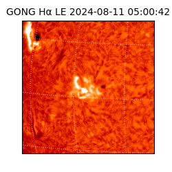 gong - 2024-08-11T05:00:42