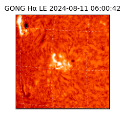 gong - 2024-08-11T06:00:42
