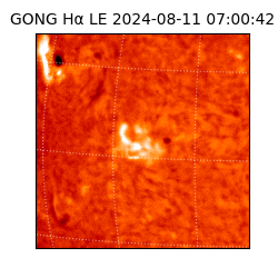 gong - 2024-08-11T07:00:42