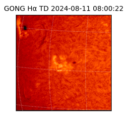 gong - 2024-08-11T08:00:22