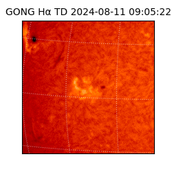 gong - 2024-08-11T09:05:22