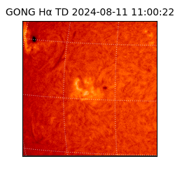 gong - 2024-08-11T11:00:22
